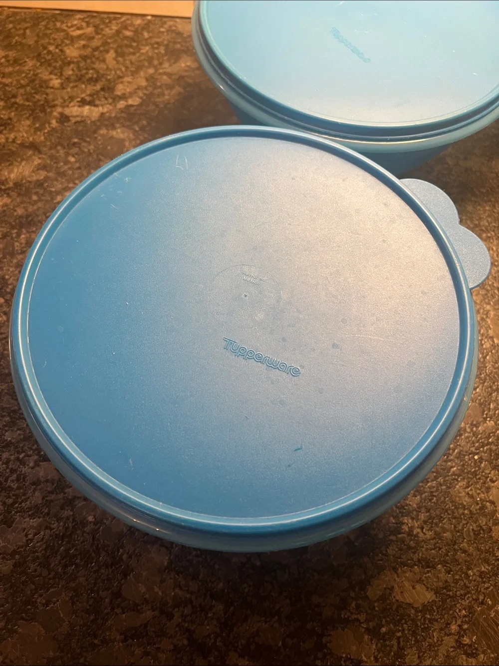 Set of 2 Tupperware Wonderlier Blue Plastic Food Storage Bowls with Lids